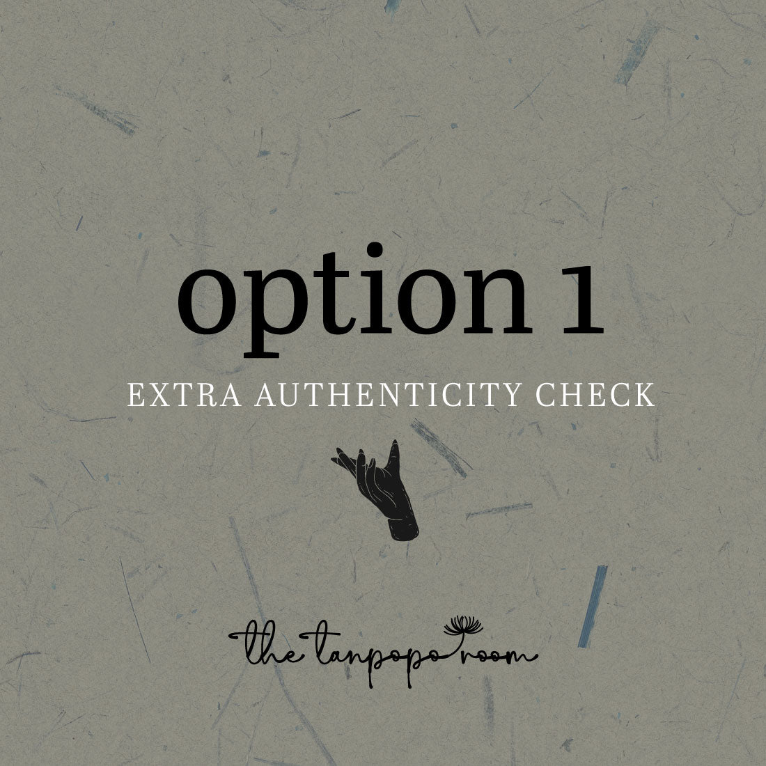 Authentication Check [option 1]