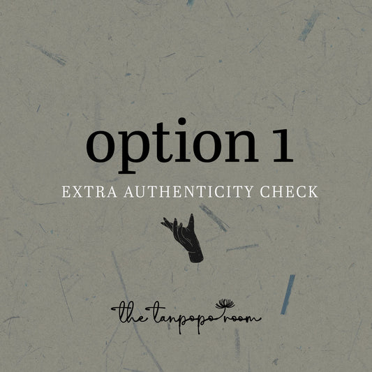 Authentication Check [option 1]