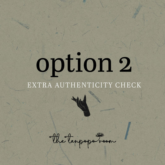 Authentication Check [option 2]